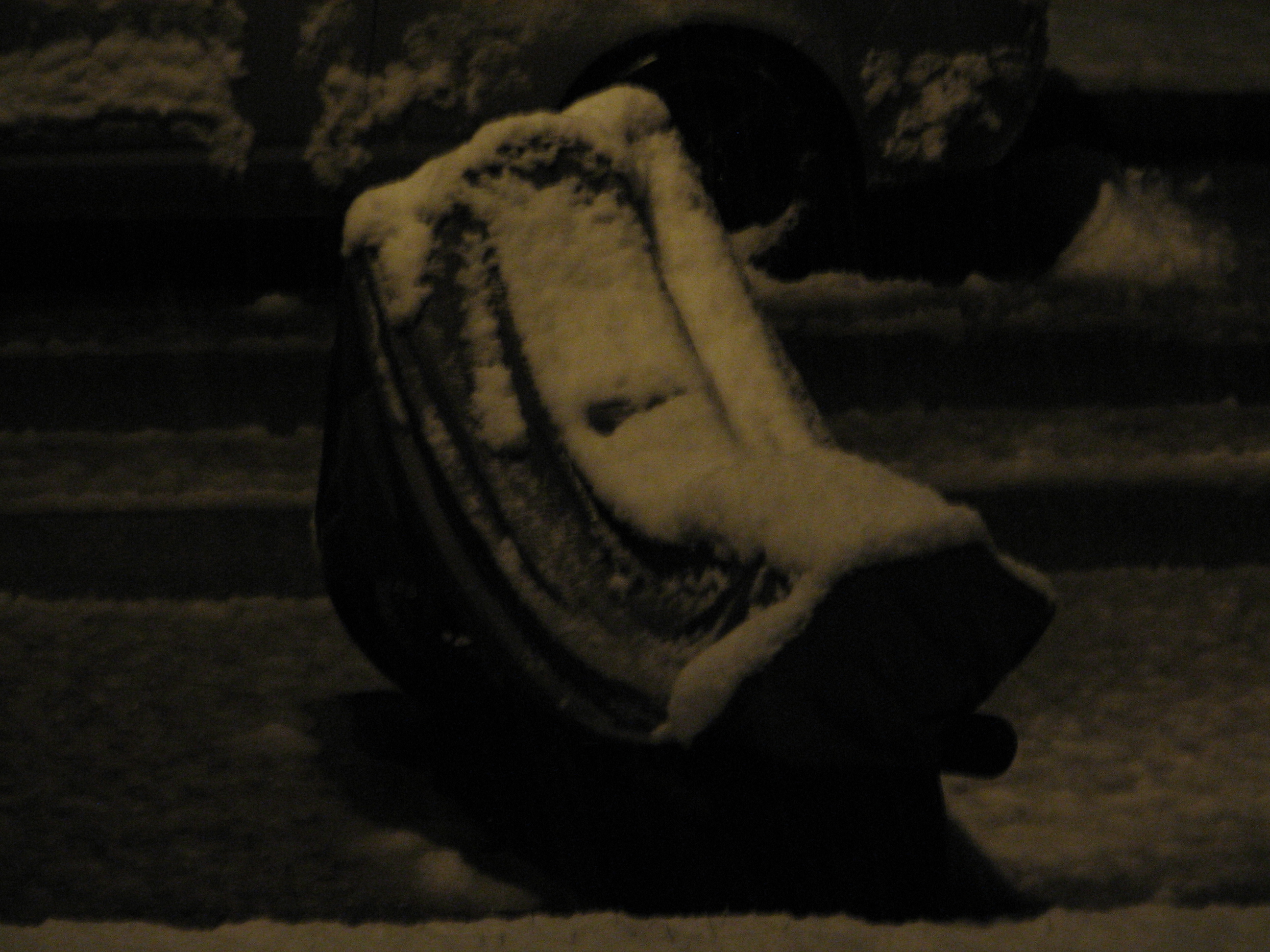 9765-snowfj.jpg