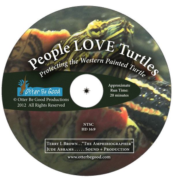 PLT-DVD-label-23mm-final